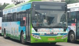 今日一线爆料湛江公交车,今日一线独家揭秘