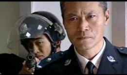 警网双雄在线观看,在线激战，正义之光闪耀网络