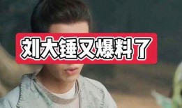 刘大锤最新视频爆料,最新视频爆料背后的惊人真相